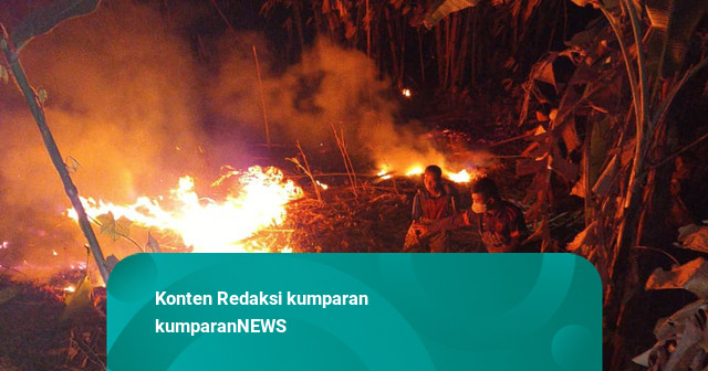 Lahan Seluas 6 Hektar Terbakar di Pandeglang, Damkar Bantu Padamkan