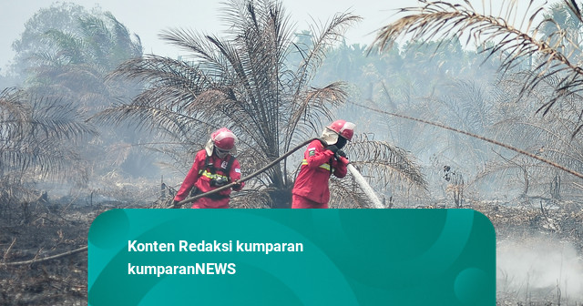Foto: Aksi Petugas Padamkan Karhutla di Tengah Minimnya Sumber Air di Jambi