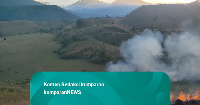 Kawasan Kawah Wurung Ijen Bondowoso Terbakar, 10 Hektare Lahan Hangus