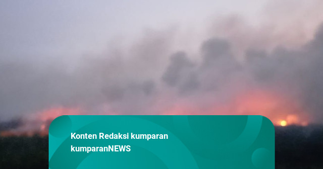 Kebakaran Lahan di Jambi Meluas, 13,2 Hektare Taman Nasional Berbak Terbakar