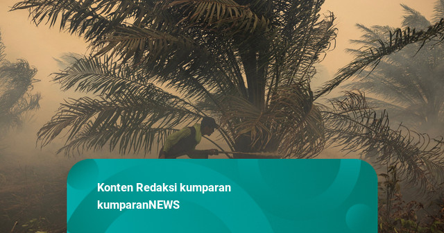 Karhutla di Kalbar Memburuk, Sekolah Daring Diperpanjang hingga 4 September