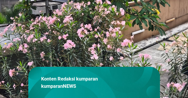 Saat Warga Menikmati "Musim Semi" di CFD Bundaran HI