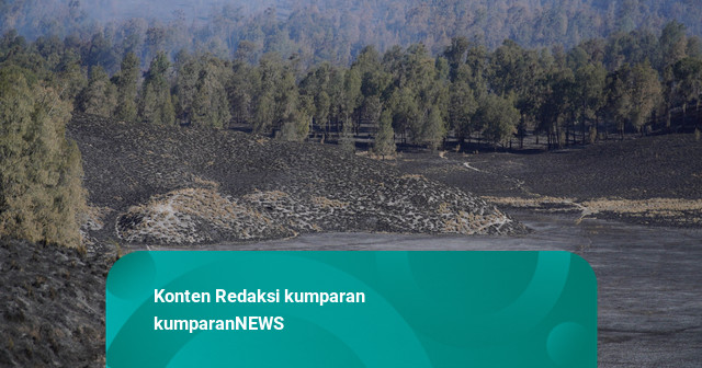Foto: Kawasan Danau Ranu kumbolo Menghitam Usai Dilanda Kebakaran TNBTS