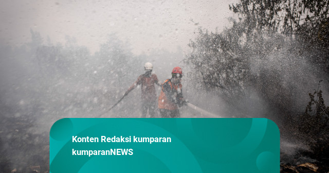 Anggota DPR PKB Soroti Karhutla Meluas: Harus Ditangani Serius dan Maksimal