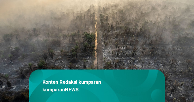 Foto: 20 Hari Lebih Karhutla Melanda Muaro Jambi, Api Terus Meluas