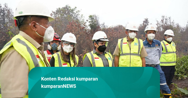Tegaskan Tanggung Jawab Keberlanjutan, Grup MIND ID Perkuat Penanganan Karhutla