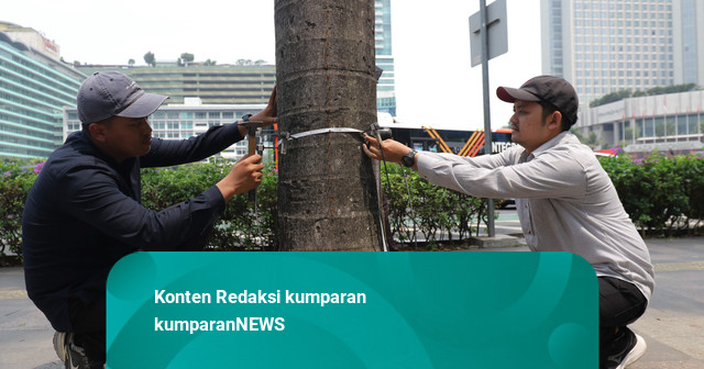 Foto: Cek Kesehatan Pohon Jakarta Jelang Musim Hujan