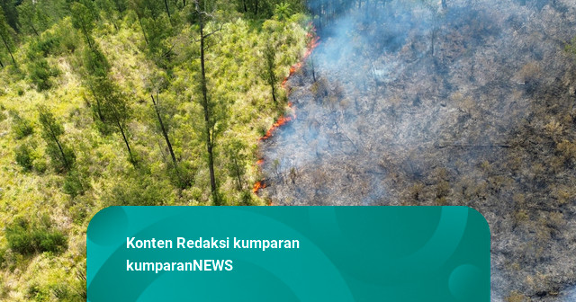 Foto: Api Meluas hingga Kalipait, Petugas Dinginkan Sisa Kebakaran Gunung Ijen