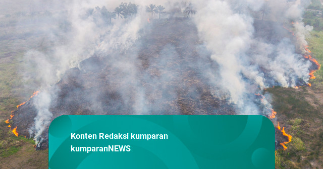 Foto: Karhutla di Ogan Ilir, 1.319 Titik Panas Terdeteksi