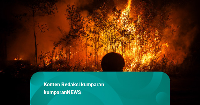Foto: Karhutla Membara, Relawan Berjibaku Jinakkan Api di Palangka Raya
