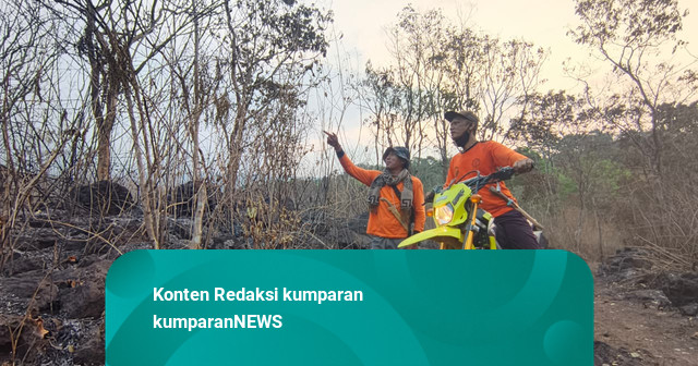 Karhutla Gunung Ciremai Kuningan: Api Mulai Terkendali, Petugas Lakukan Mop Up