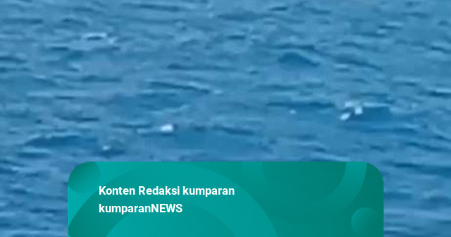 Kronologi Kapal Virgo Transport 8 Angkut 243 Orang Hilang Kontak di Laut Jawa
