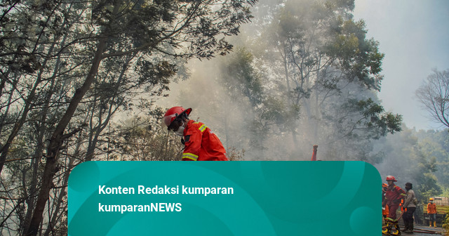 Foto: Gunung Bromo Kebakaran, Kunjungan Wisata Ditutup Total Sementara