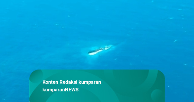 Polisi Periksa KSOP Tanjung Perak Terkait KM Virgo