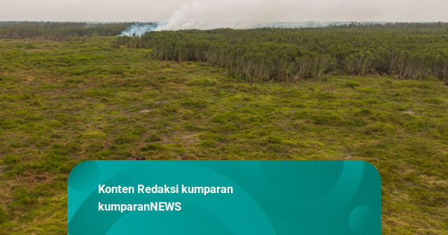 Foto: Gajah Tetap Mencari Makan saat Pemadaman Karhutla Padang Sugihan Diperkuat