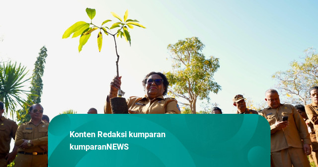 Dukung Gerakan Indonesia Asri, Wamendagri Ribka Haluk Ajak Warga NTT Tanam Pohon