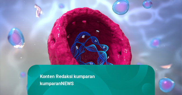 Kiprah Pakar Medis RI Bawa Inovasi Regeneratif & Identitas Budaya ke Global