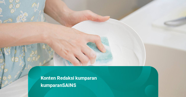 Spons Cuci Piring Kotor Adalah Sarang Bakteri Bisa Picu Sakit Perut, Keracunan
