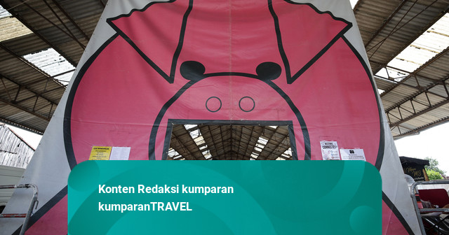 Foto: Warga Prancis Adu Suara Mirip Babi
