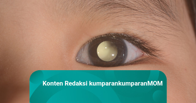 Diabetic Retinopathy: Inter-Eye Vascular Asymmetry Increases With Severity
