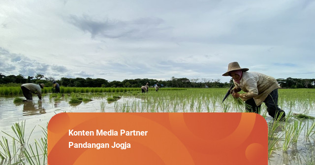 Danais Jadi Penopang Program Kalurahan di DIY di Tengah Penyesuaian Dana Desa