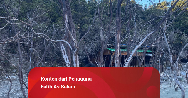 Bedah Disposition Effect: Fenomena Jual Untung Kecil, Tahan Rugi Besar di Kripto