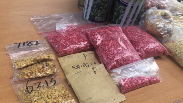 Benih cabai China (Foto: Indra Subagja/kumparan)