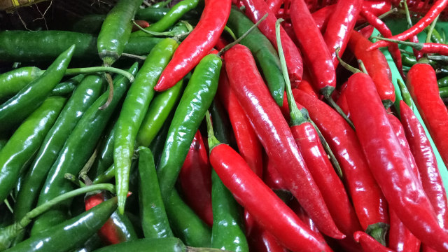 Cabai merah dan cabai hijau besar (Foto: Rivi Satrianegara)