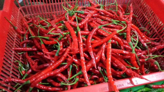 Cabai merah di pasar tradisional (Foto: Rivi Satrianegara)