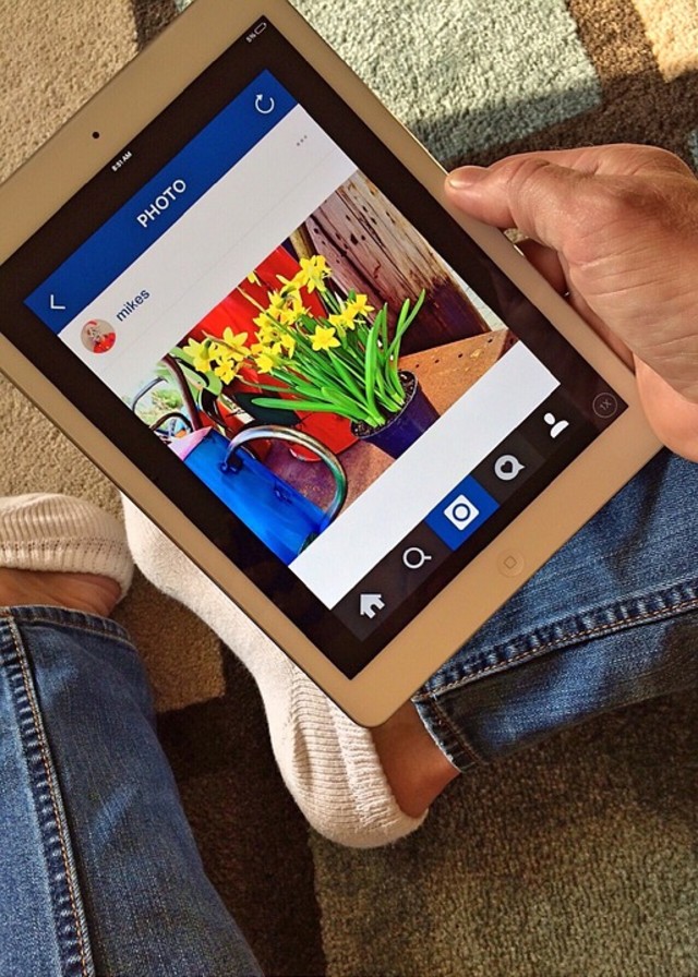 Ilustrasi Instagram  Foto: Pixabay