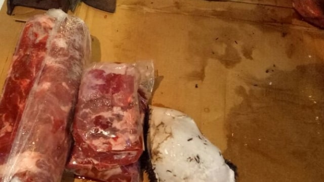 Daging Kerbau beku asal India (Foto: Nicha Muslimawati/kumparan)