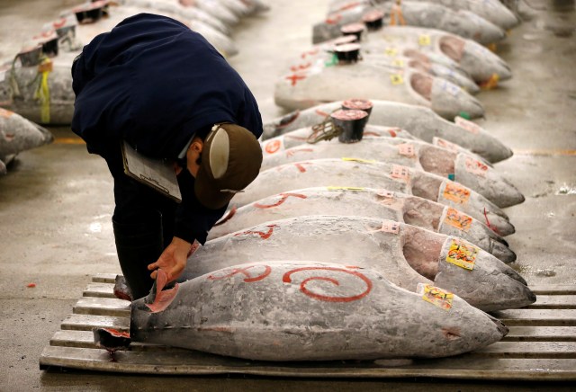 Pasar ikan Tsukiji, Jepang (Foto: Reuters/Issei Kato)