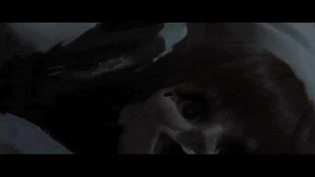 Annabelle vs Chucky (Foto: Warner Bros/Universal)