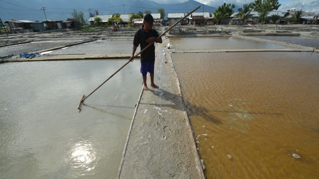 Petambak sedang membersihkan tambak garam. (Foto:  ANTARAFOTO/Basri Marzuki)