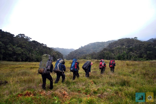 Savanna Gunung Geureudong, Dataran Luas di Balik Rimbunnya Hutan Aceh