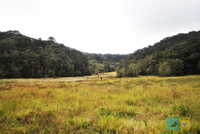 Savanna Gunung Geureudong, Dataran Luas di Balik Rimbunnya Hutan Aceh (1)