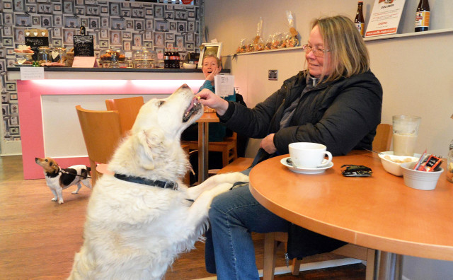 Chiens et Café (Foto: Chiens et Café/facebook)