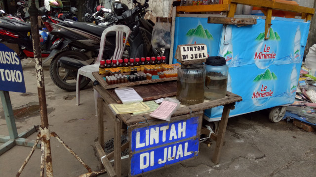 Ramuan-ramuan tradisional dari Lintah. (Foto: Ochi Amanaturrosyidah/kumparan)