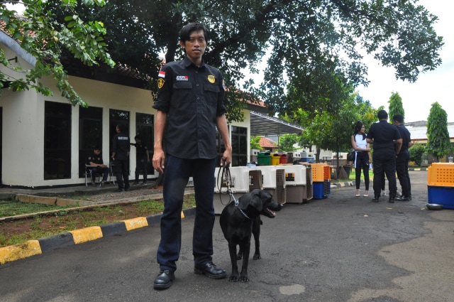 Instruktur anjing pelacak Unit K-9 Bea Cukai. (Foto: Kevin Kurnianto/kumparan)
