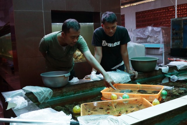 Kolam ikan hias di toko milik Pak Rusli. (Foto: Fanny Kusumawardhani/kumparan)