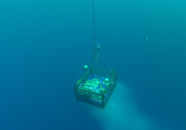 Pengangkutan BMKT (Foto: dok.KKP)