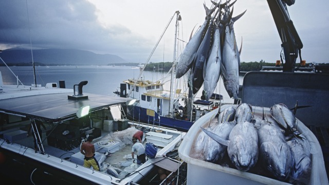 Ilustrasi kapal nelayan Foto: moodboard/Thinkstock