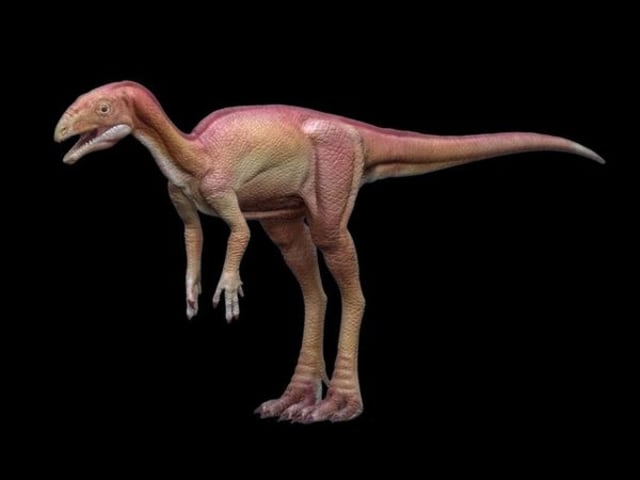 Dinosaurus: Terkecil