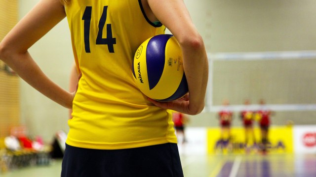 Ilustrasi Bola Voli (Foto: Pixabay)