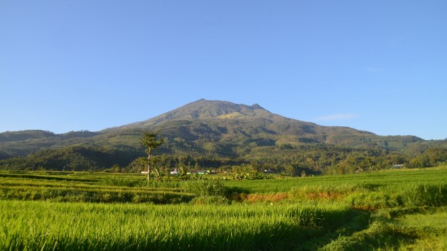 Gunung Lawu (Foto: Wikimedia Commons)