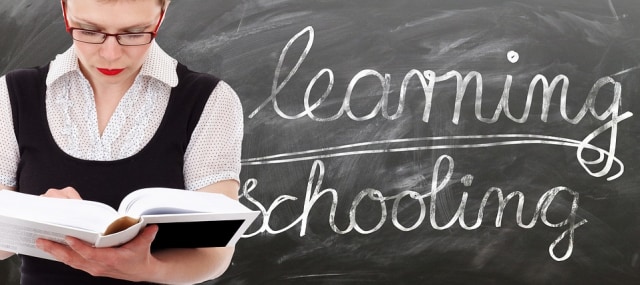 Ilustrasi guru di sekolah (Foto: geralt)