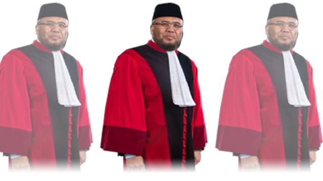 Patrialis Akbar (Foto: mahkamahkonstitusi.go.id)