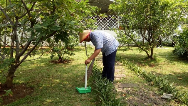 Kegiatan Day Care berkebun. (Foto: Ulfa rahayu/kumparan)