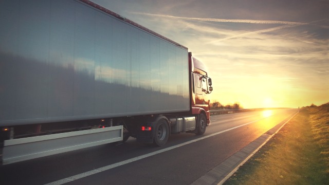 Sopir truk (Foto: Pixabay)