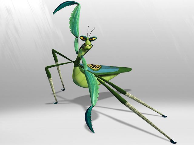 Kung Fu Belalang